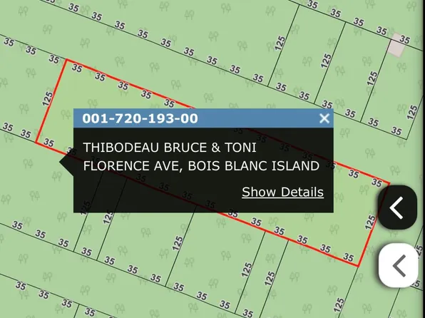 720193 Florence Ave, Pointe Aux Pins, MI 49775