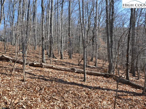 TBD Spicer Mountain Road, Sparta, NC 28675