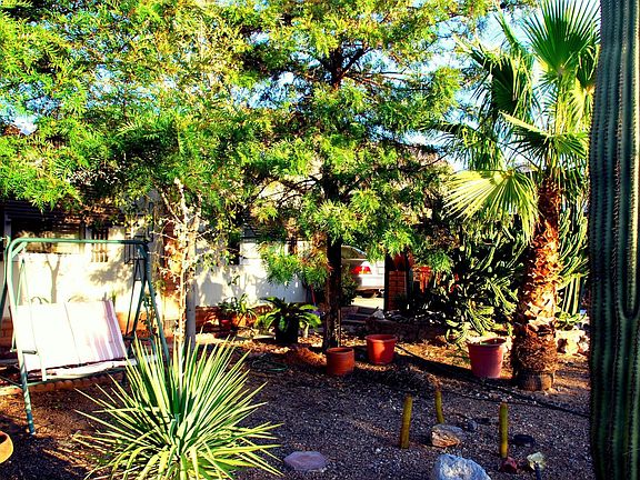 6172 Front Yard