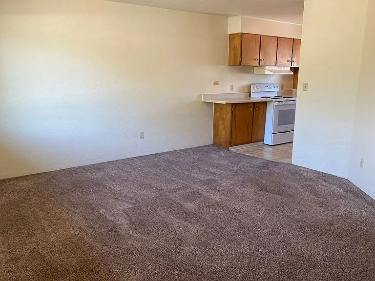 725 W 4th Alley 4th 440 Madison #726-W-460 — Photo 3