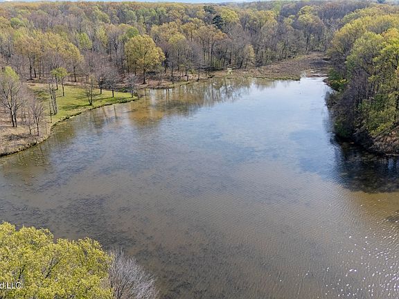 3rd image of 4234 Delta View Rd