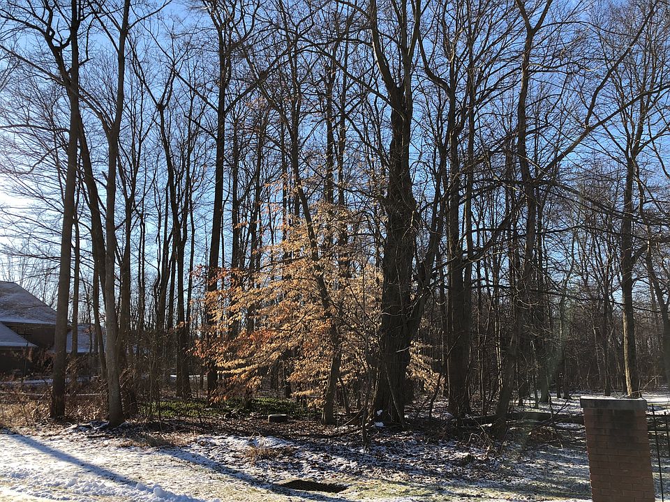 2nd image of McConnell Rd