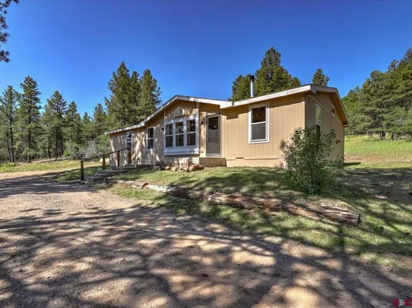 29 Baldwin Court, Pagosa Springs, CO 81147