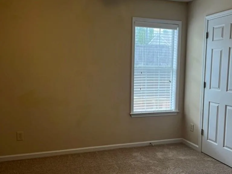 2972 Woodland Ash Cv — Photo 21