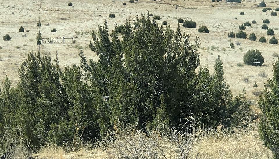 1st image of 48470 E Us Highway 50 Byp
