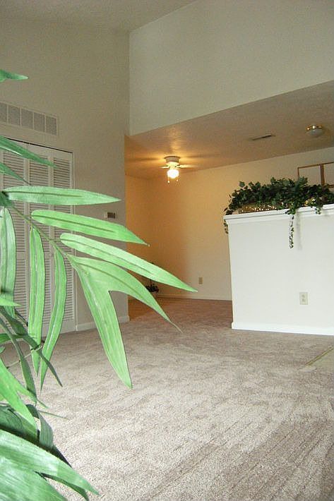 Your Living Room