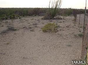 4th image of 3474 E White Cloud Way