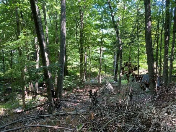 37 Aspen Rd, Sloatsburg, NY 10974