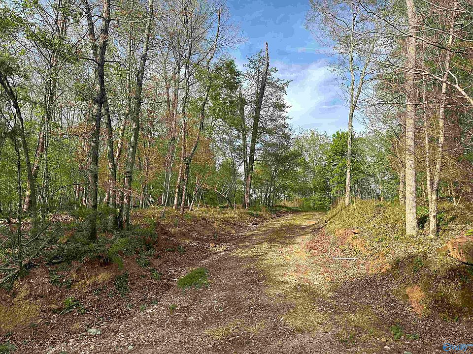 Hixon Rd NW, Fort Payne, AL 35967 Zillow