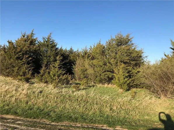 4528 Birchfield Dr, Panora, IA 50216
