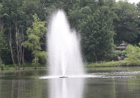 peaceful secluded pond