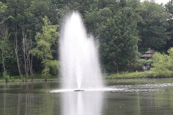 peaceful secluded pond