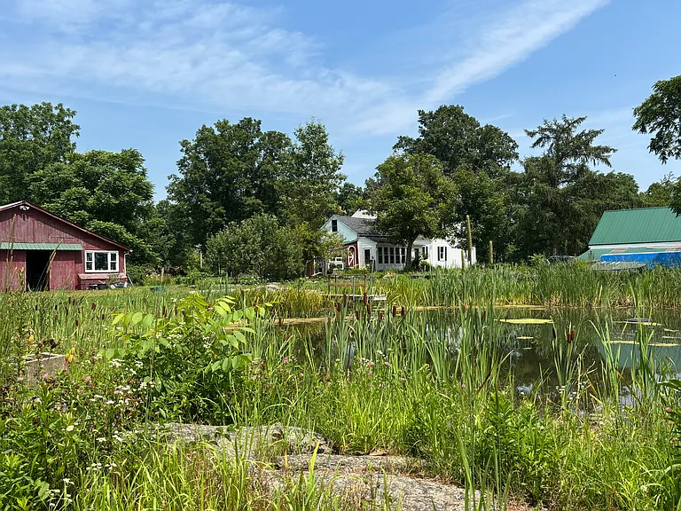 1049 Upper Church St — Photo 38