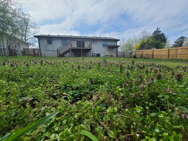 Yard
