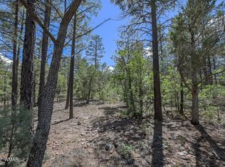 2011 E Sierra Park Tr, Show Low, AZ 85901