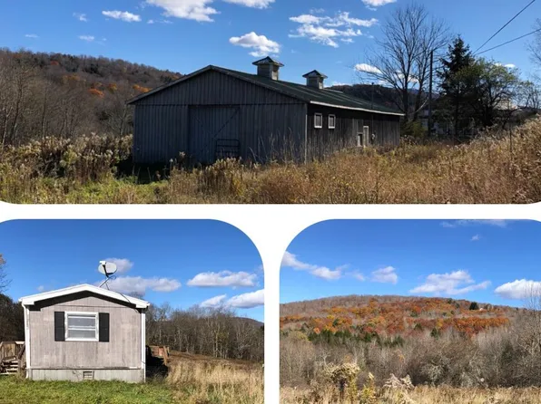 1890 Big Red Kill Rd, Fleischmanns, NY 12430
