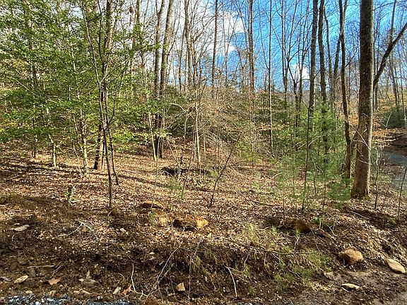 4th image of LOT 12 Ivy Log Dr