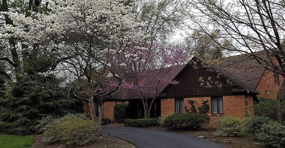 View from circular driveway 