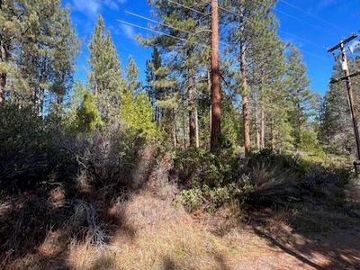 Circle Dr, Old Station, CA, 96071