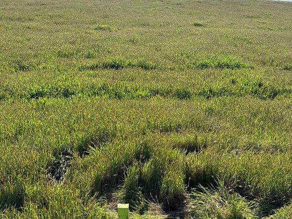 5th image of 0 Twissleman Rd