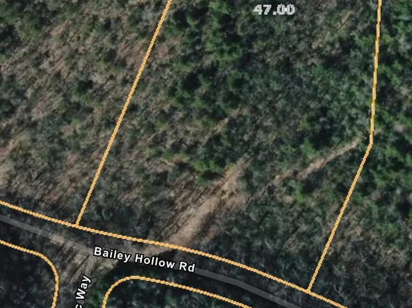 LOT 4 Bailey Hollow Rd, Erwin, TN 37650
