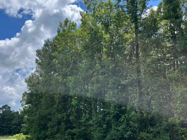 0 Mercer Mill Brown Marsh Road, Elizabethtown, NC 28337