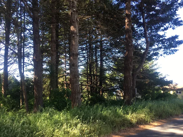 106 Seafoam Rd, Whitethorn, CA 95589