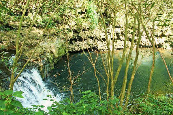 2nd image of Off Of Hawaii Belt Rd Lot 19