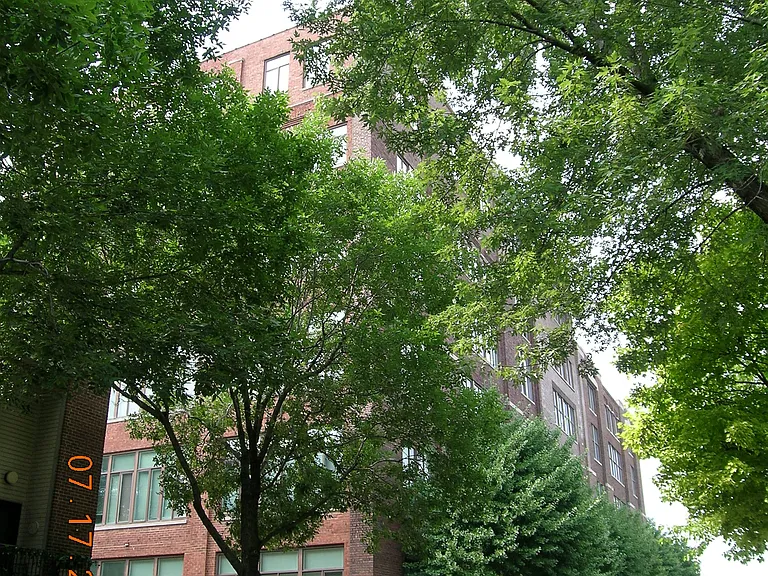 430 N Park Ave #108 — Photo 3