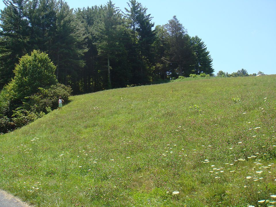 1st image of Cedar Xing #93