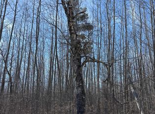 Lamon Rd NE, Bemidji, MN 56601