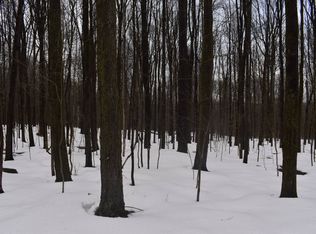 0 Harris Hill Rd LOT 2, Gerry, NY 14740