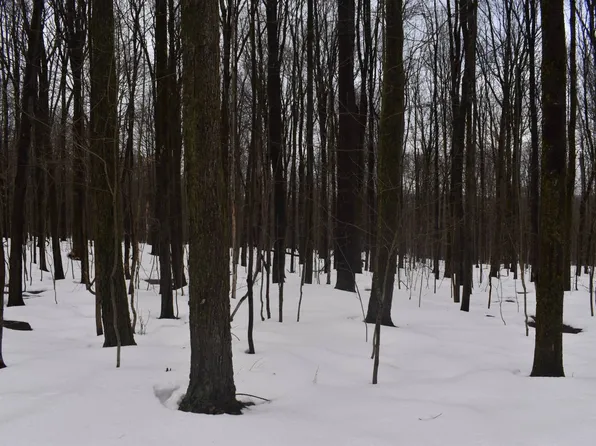 0 Harris Hill Rd Lot 2, Gerry, NY 14740