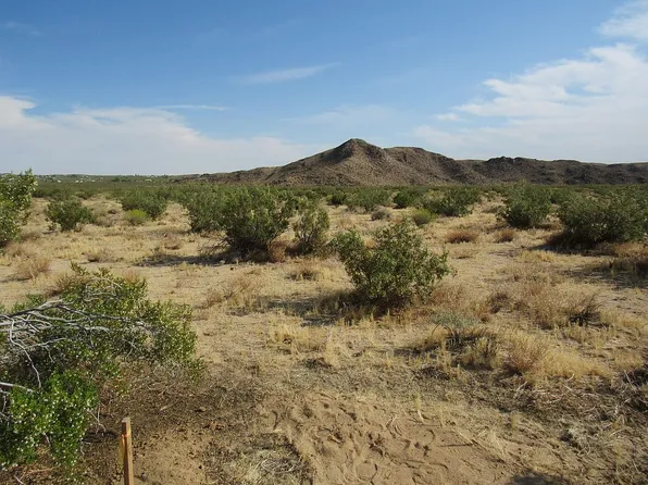 63478 Sun Mesa Rd, Joshua Tree, CA 92252