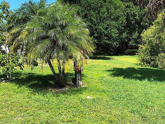 Back yard.