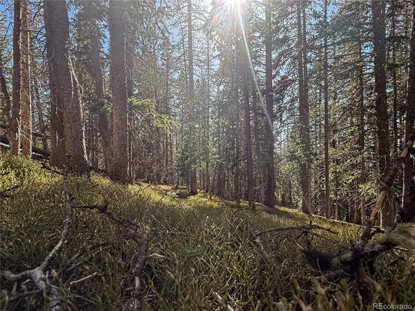 LOT 6530 Schluetter Road, Fort Garland, CO 81133
