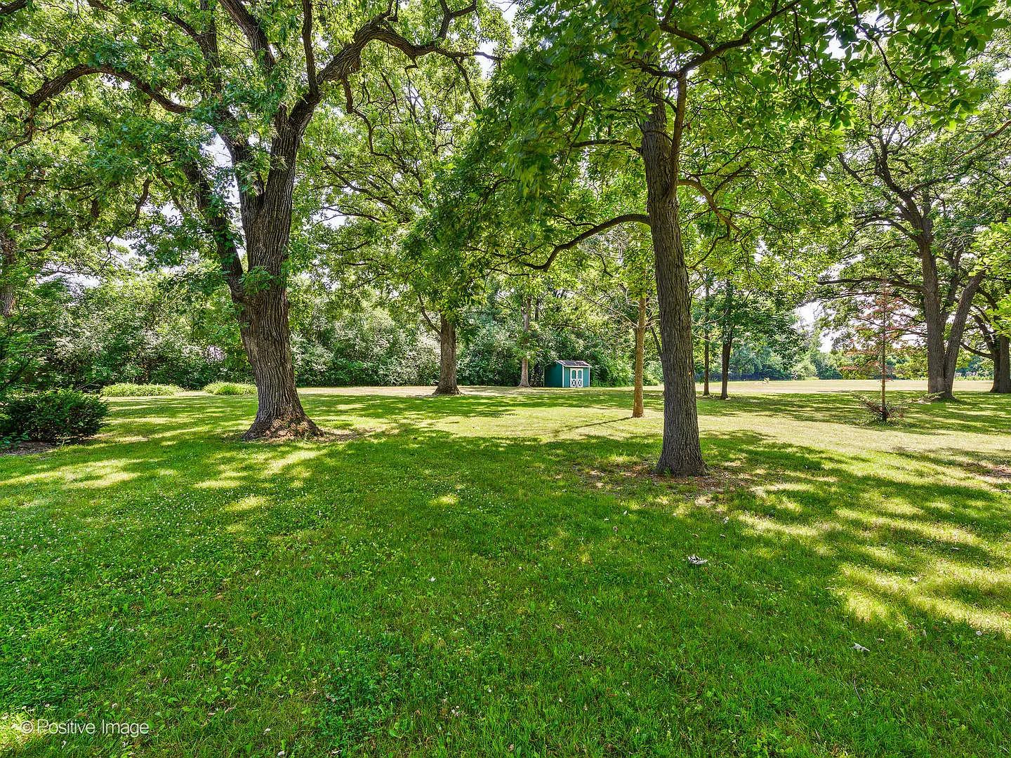 890 Oak Knoll Dr photo 1