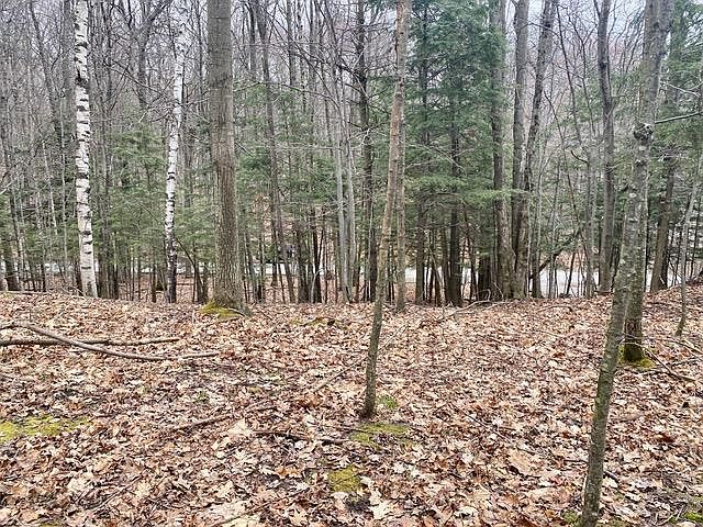 2nd image of 1113 Maple Way #Way244
