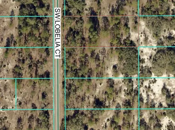 Tbd Lot 32 SW Lobelia Court, Dunnellon, FL 34431