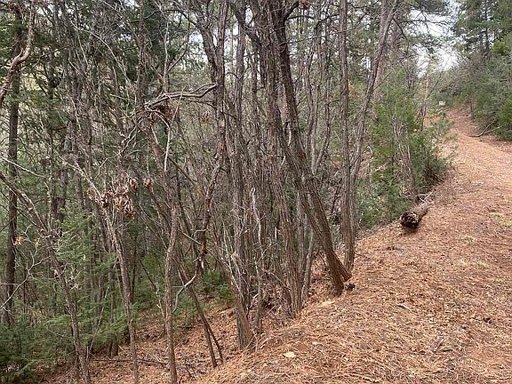 3rd image of 4 Devils Tower Ln