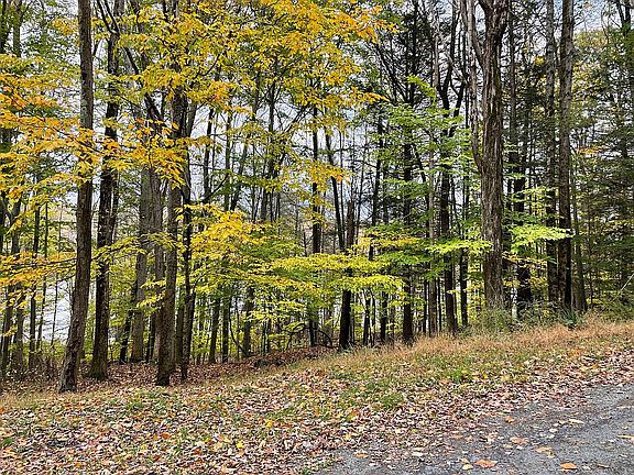 3rd image of LOT 1LE55 E Shore Dr