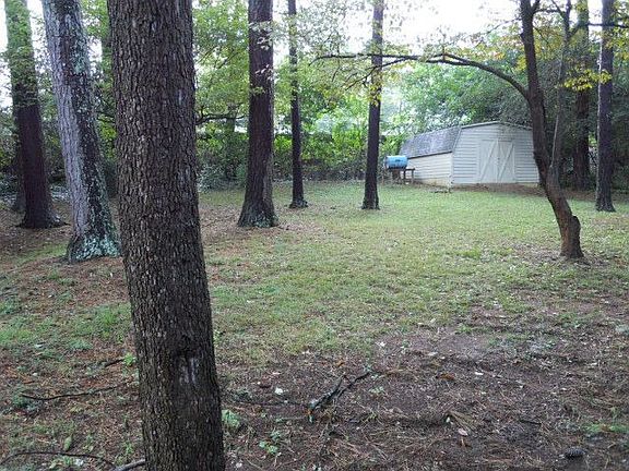 Big parklike Back Yard