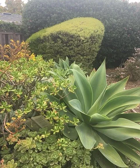 Fully landscaped yards