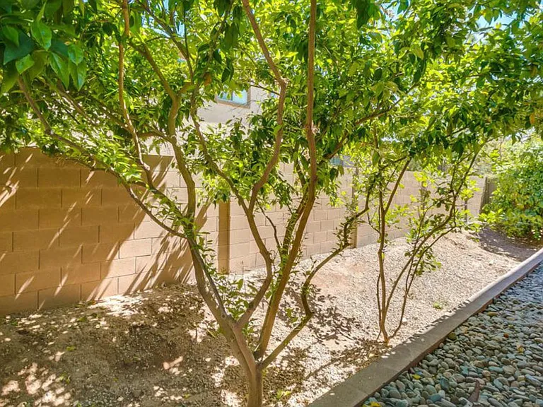 2892 E Beechnut Pl — Photo 41