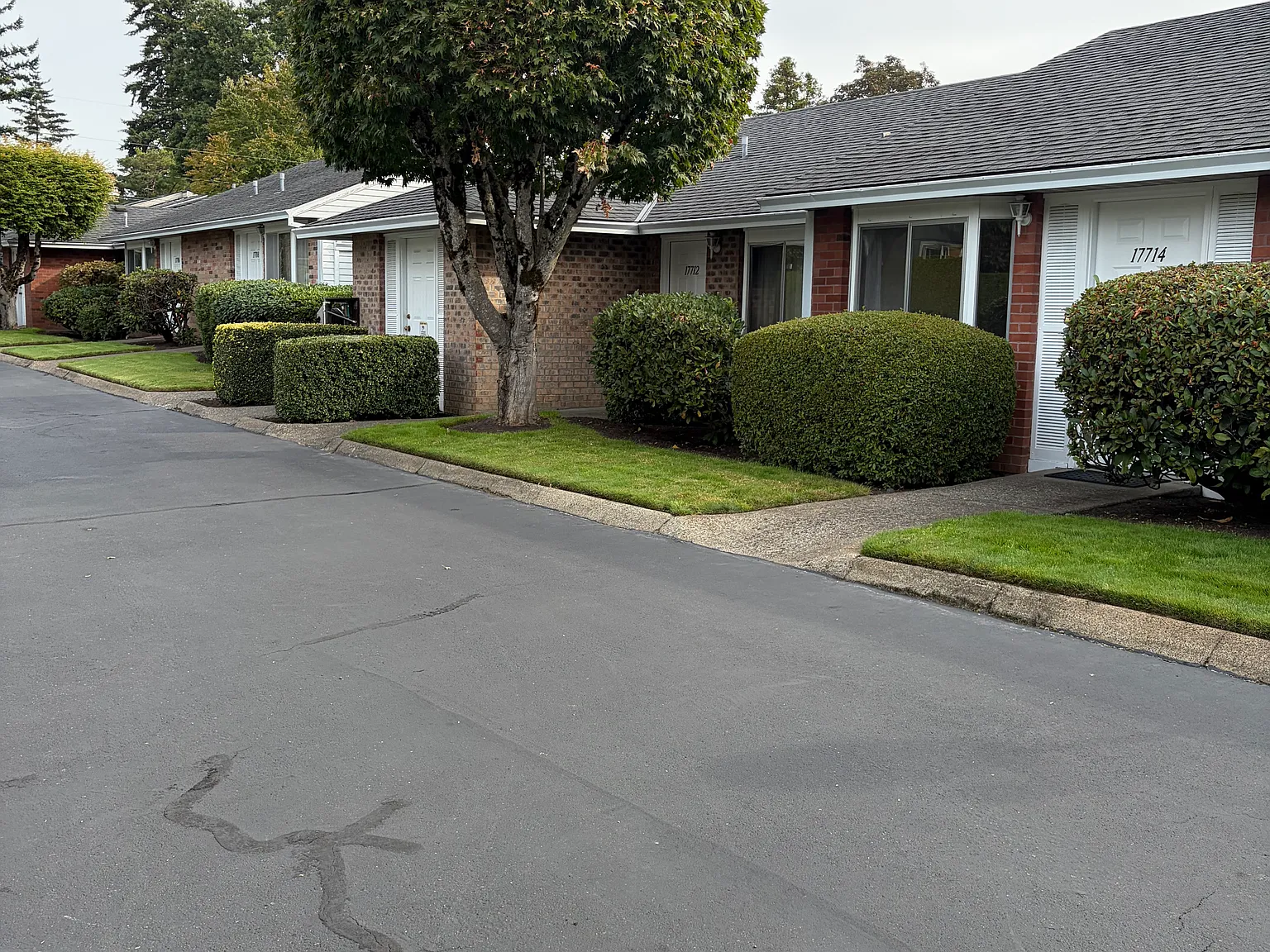 1 bed, 600 sqft, $1,050 — Photo 2