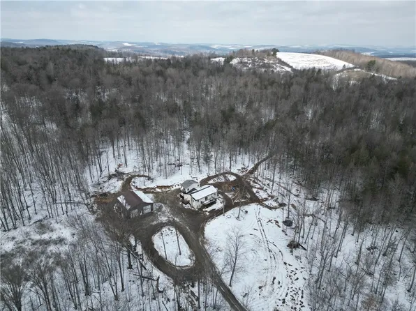 813 County Route 99, Woodhull, NY 14898