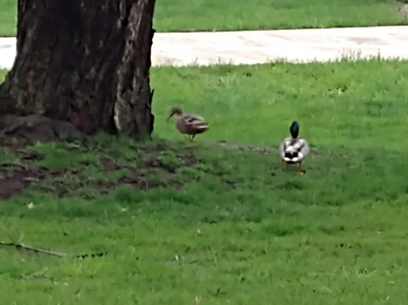 270 Maole St, Conneaut Lake, PA 16316