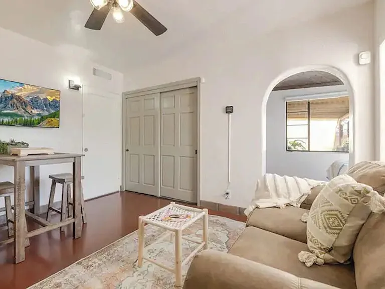 Living room with large closet