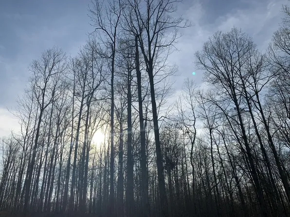 1385 Ridgewood Dr Lot 77, Mc Ewen, TN 37101