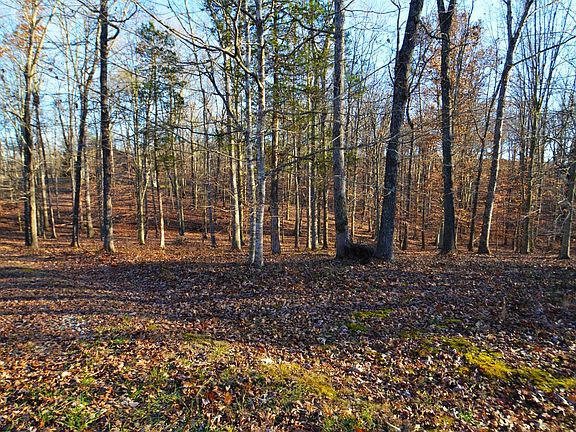 4th image of 115 Beechwood Dr